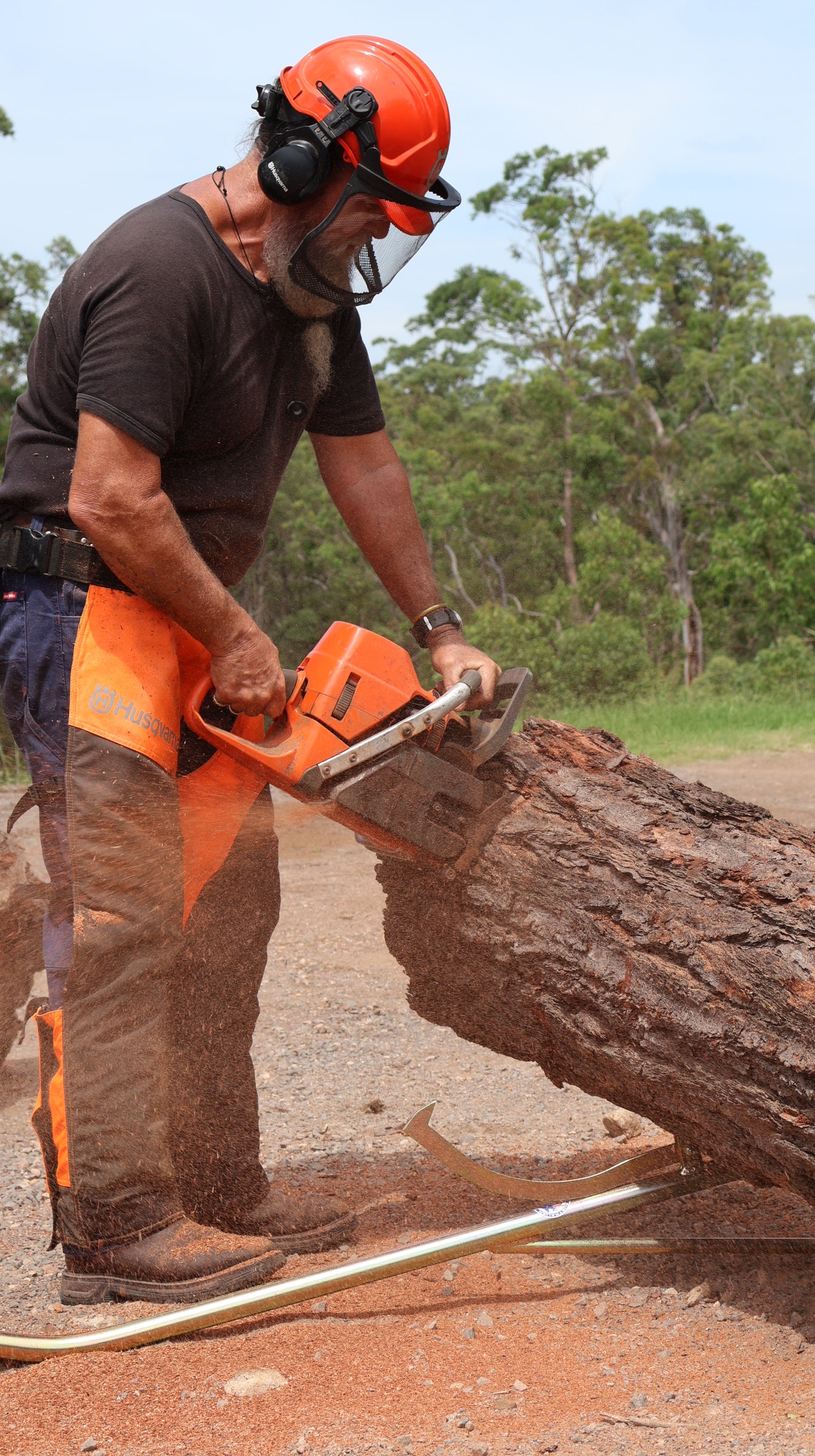 Log Roller /Lifter