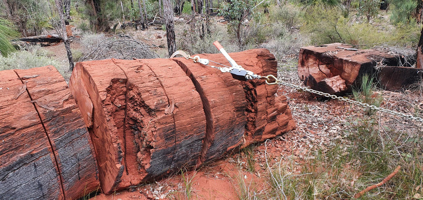 Cant Hook log roller