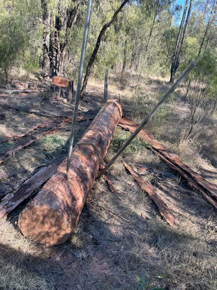 Peavey Hook Log Roller / Cant Hook 1.4m.