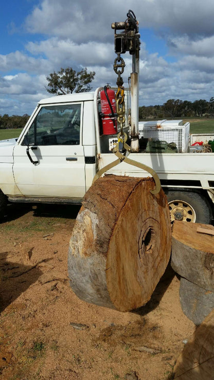 Log Lifting Skidding Tongs - Large Size - Certified to lift 1 tonne